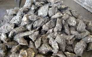 昆山市张浦镇菊新水产冷冻批发部 专业水产品批发与供应链服务