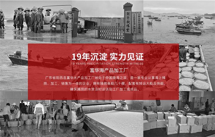 虾皮工厂直供 高明区富华海产品加工厂开启日用百货销售新篇章