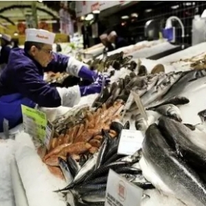 全国主要水产品批发市场报价动态与日用百货销售渠道浅析