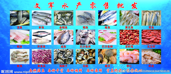 水产品批发 连接海洋与餐桌的关键纽带