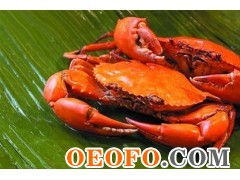 东港市黄海水产品批发市场利源海鲜批发商行 供应优质鲜活梭子蟹与飞蟹，物美价廉